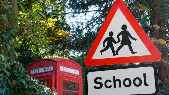 a photo showing a school road sign in a street